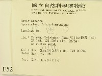 登錄號:F0005213藏品圖，第2張