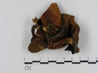 登錄號:F0005213藏品圖，第1張