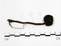 登錄號:F0005214藏品圖，第1張