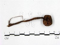 登錄號:F0005214藏品圖，第3張