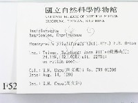 登錄號:F0005215藏品圖，第2張