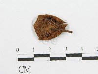 登錄號:F0005216藏品圖，第1張