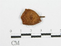 登錄號:F0005216藏品圖，第3張