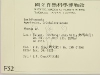 小菇屬藏品圖，第2張