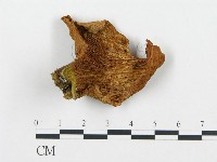 登錄號:F0005223藏品圖，第1張