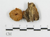 登錄號:F0005224藏品圖，第3張