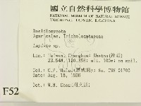 登錄號:F0005225藏品圖，第2張