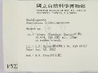 小菇屬藏品圖，第2張