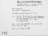 登錄號:F0005228藏品圖，第2張