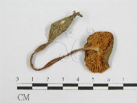 登錄號:F0005229藏品圖，第3張