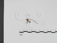 登錄號:F0005230藏品圖，第1張