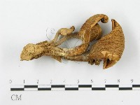 登錄號:F0005234藏品圖，第1張