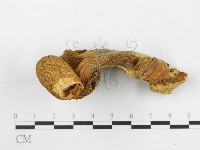 登錄號:F0005234藏品圖，第4張