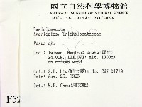 登錄號:F0005237藏品圖，第2張