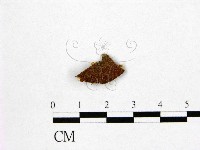 登錄號:F0005237藏品圖，第1張