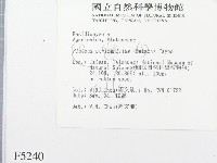 登錄號:F0005240藏品圖，第2張