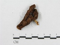 登錄號:F0005244藏品圖，第1張