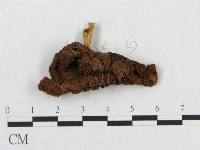 登錄號:F0005244藏品圖，第4張