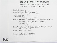 鬼傘屬藏品圖，第2張