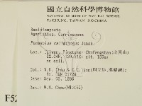 登錄號:F0005247藏品圖，第2張