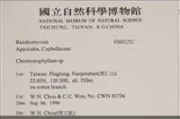 登錄號:F0005252藏品圖，第3張