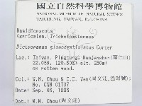 登錄號:F0005255藏品圖，第2張