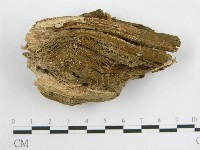 登錄號:F0005255藏品圖，第1張