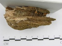 登錄號:F0005255藏品圖，第3張