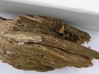 登錄號:F0005255藏品圖，第4張