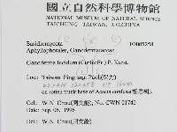 登錄號:F0005258藏品圖，第2張