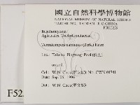 登錄號:F0005259藏品圖，第2張