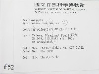 登錄號:F0005260藏品圖，第2張