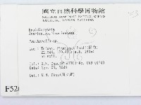 登錄號:F0005261藏品圖，第2張