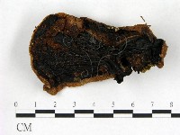 登錄號:F0005263藏品圖，第1張