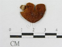 登錄號:F0005265藏品圖，第3張