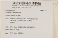 登錄號:F0005267藏品圖，第4張