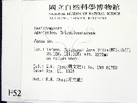 登錄號:F0005268藏品圖，第2張