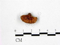 登錄號:F0005268藏品圖，第1張