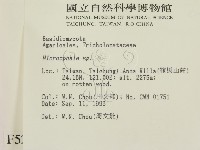 登錄號:F0005269藏品圖，第2張