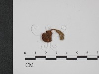 登錄號:F0005270藏品圖，第3張