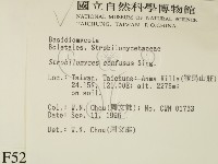 登錄號:F0005271藏品圖，第2張