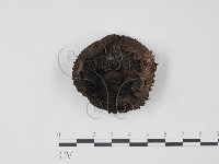 登錄號:F0005271藏品圖，第3張