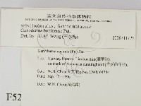 登錄號:F0005272藏品圖，第2張