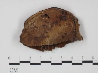 登錄號:F0005272藏品圖，第3張