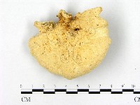 登錄號:F0005273藏品圖，第1張