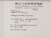 登錄號:F0005275藏品圖，第2張