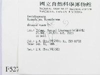 登錄號:F0005276藏品圖，第2張