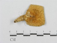 登錄號:F0005276藏品圖，第3張