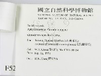 小皮傘屬藏品圖，第3張