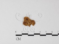 登錄號:F0005278藏品圖，第1張